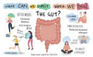 link between gut health and a wide range of symptoms
