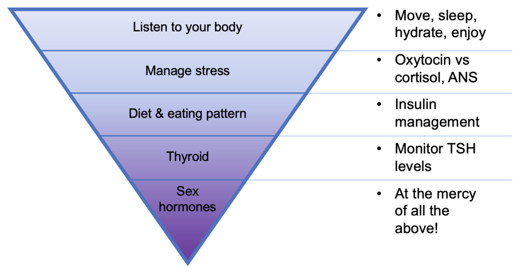 hormone hierarchy